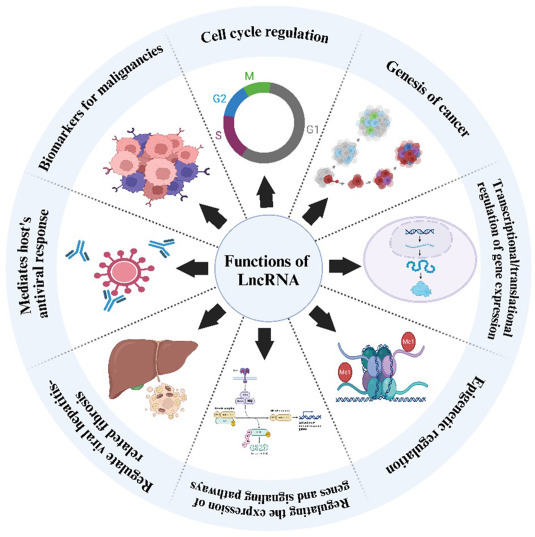 pic